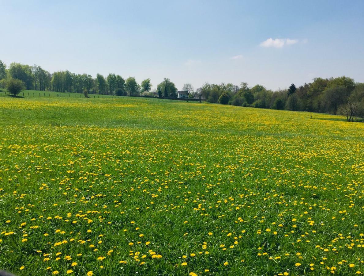 Ferienhaus Am Menzerather Weiher Monschau Kültér fotó